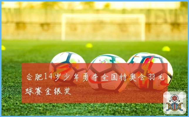 合肥14岁少年勇夺全国特奥会羽毛球赛金银奖